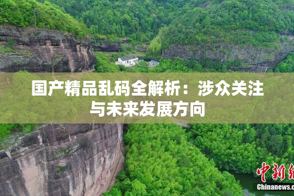 国产精品乱码全解析：涉众关注与未来发展方向