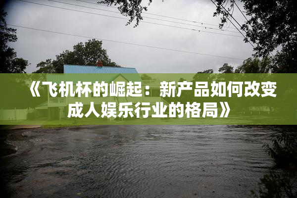 《飞机杯的崛起：新产品如何改变成人娱乐行业的格局》