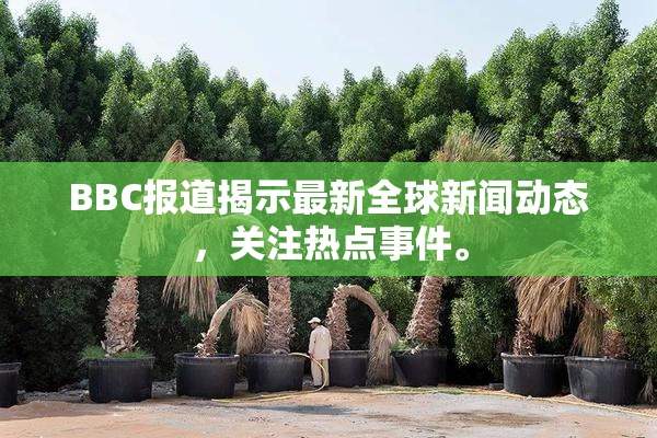BBC报道揭示最新全球新闻动态，关注热点事件。