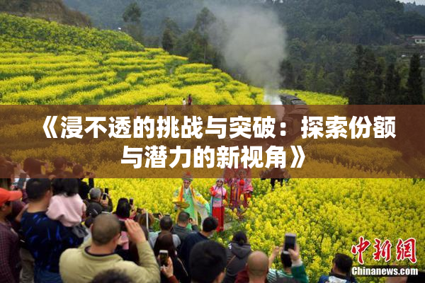 《浸不透的挑战与突破：探索份额与潜力的新视角》