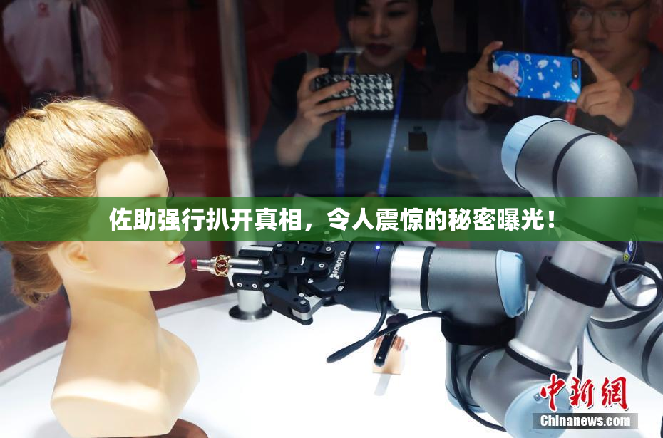 佐助强行扒开真相，令人震惊的秘密曝光！