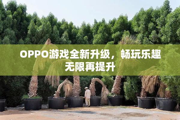 OPPO游戏全新升级，畅玩乐趣无限再提升