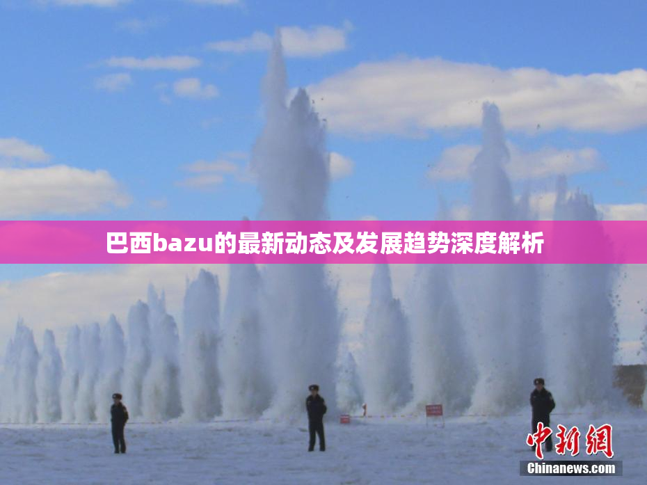 巴西bazu的最新动态及发展趋势深度解析