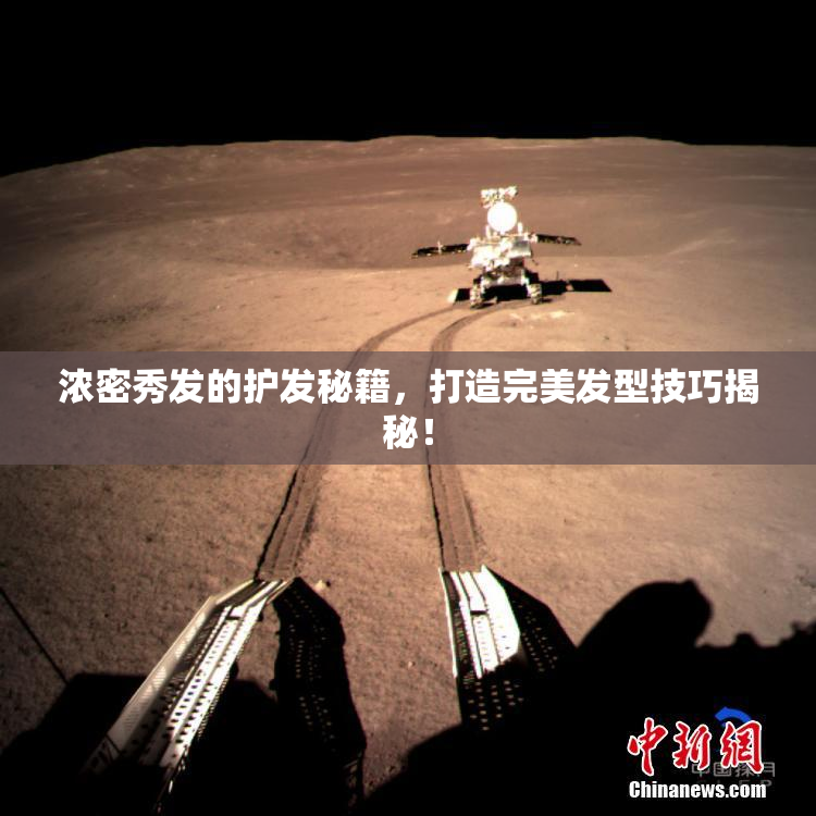 浓密秀发的护发秘籍，打造完美发型技巧揭秘！