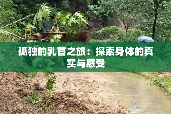 孤独的乳首之旅：探索身体的真实与感受
