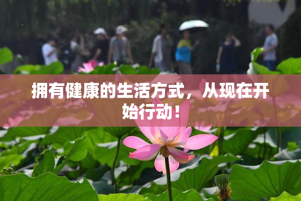 拥有健康的生活方式，从现在开始行动！