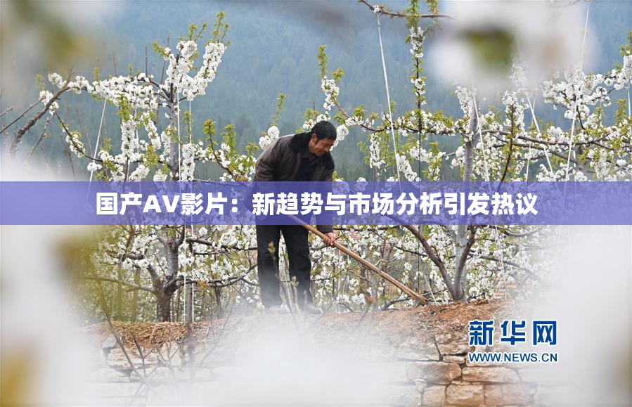国产AV影片：新趋势与市场分析引发热议
