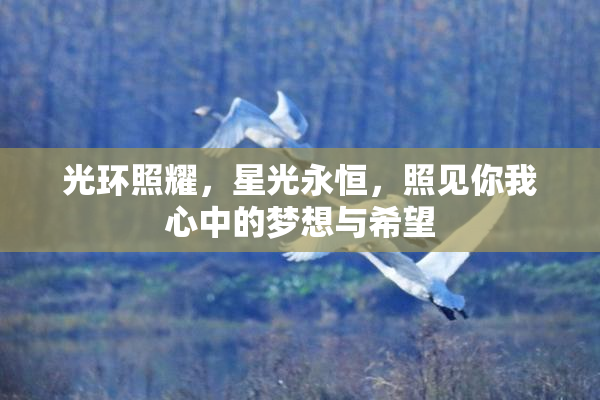 光环照耀，星光永恒，照见你我心中的梦想与希望