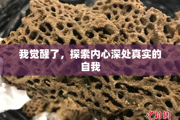 我觉醒了，探索内心深处真实的自我