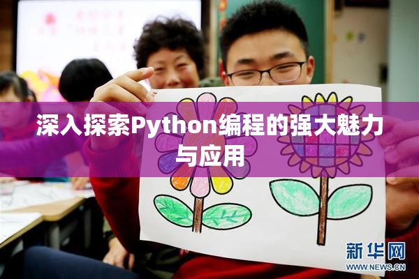 深入探索Python编程的强大魅力与应用