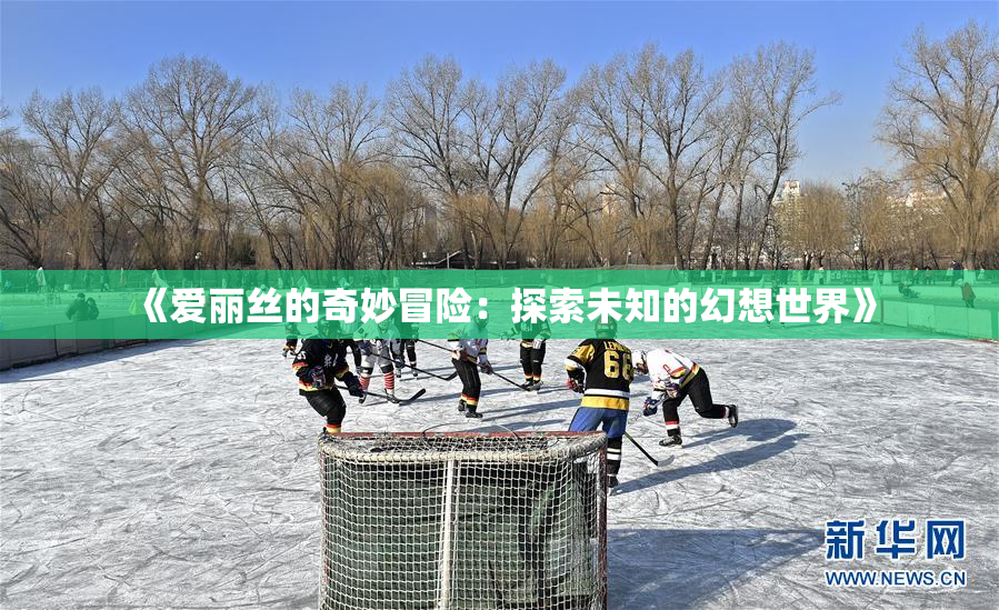 《爱丽丝的奇妙冒险：探索未知的幻想世界》
