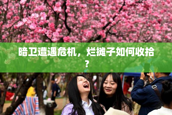 暗卫遭遇危机，烂摊子如何收拾？