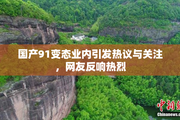 国产91变态业内引发热议与关注，网友反响热烈
