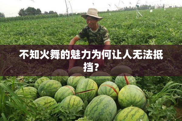 不知火舞的魅力为何让人无法抵挡？