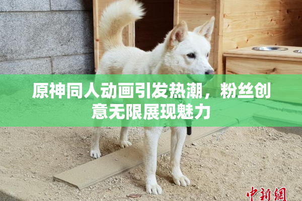 原神同人动画引发热潮，粉丝创意无限展现魅力