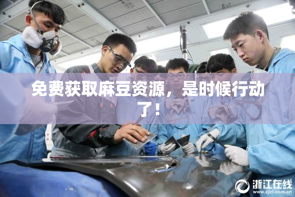 免费获取麻豆资源，是时候行动了！