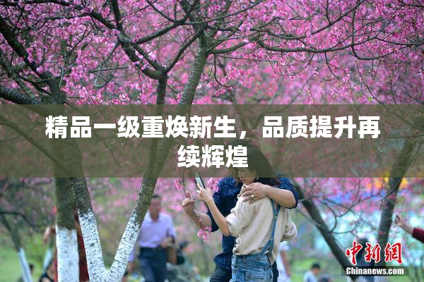 精品一级重焕新生，品质提升再续辉煌