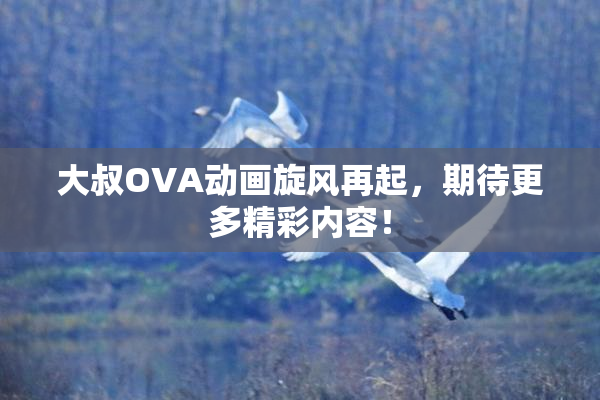 大叔OVA动画旋风再起，期待更多精彩内容！