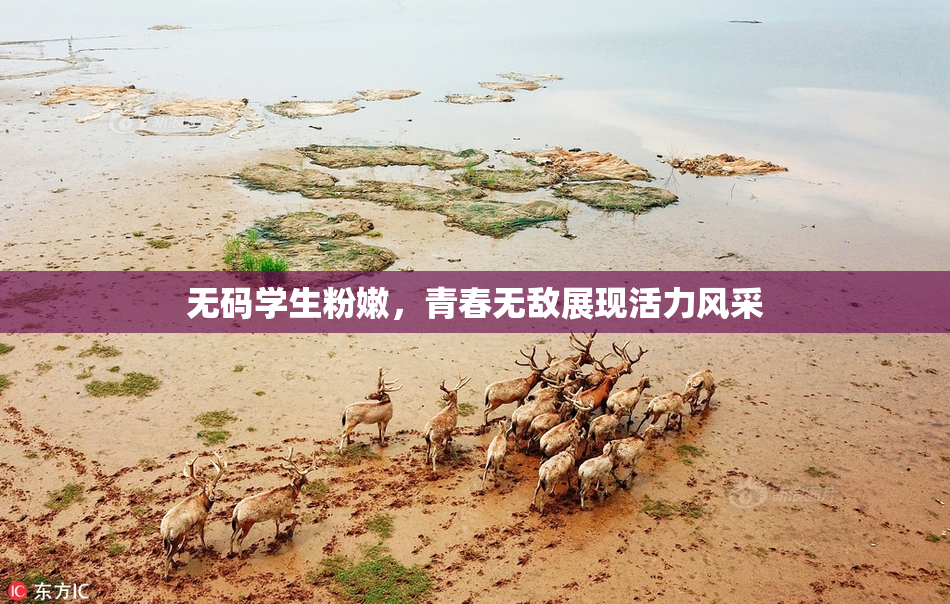 无码学生粉嫩，青春无敌展现活力风采
