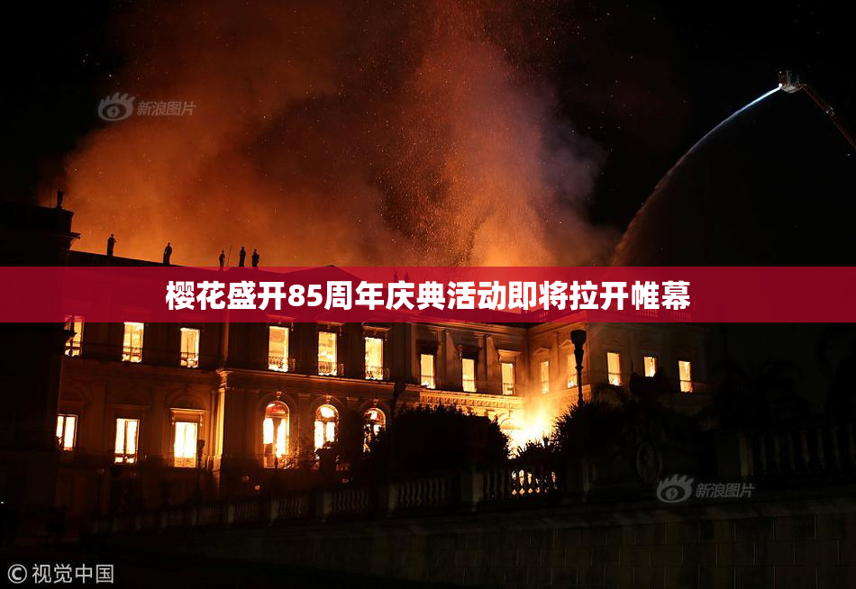 樱花盛开85周年庆典活动即将拉开帷幕