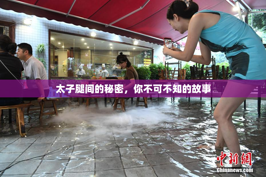 太子腿间的秘密，你不可不知的故事