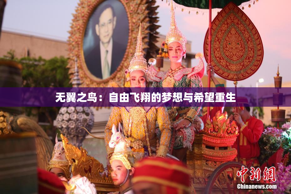 无翼之鸟：自由飞翔的梦想与希望重生