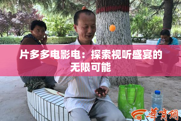 片多多电影电：探索视听盛宴的无限可能