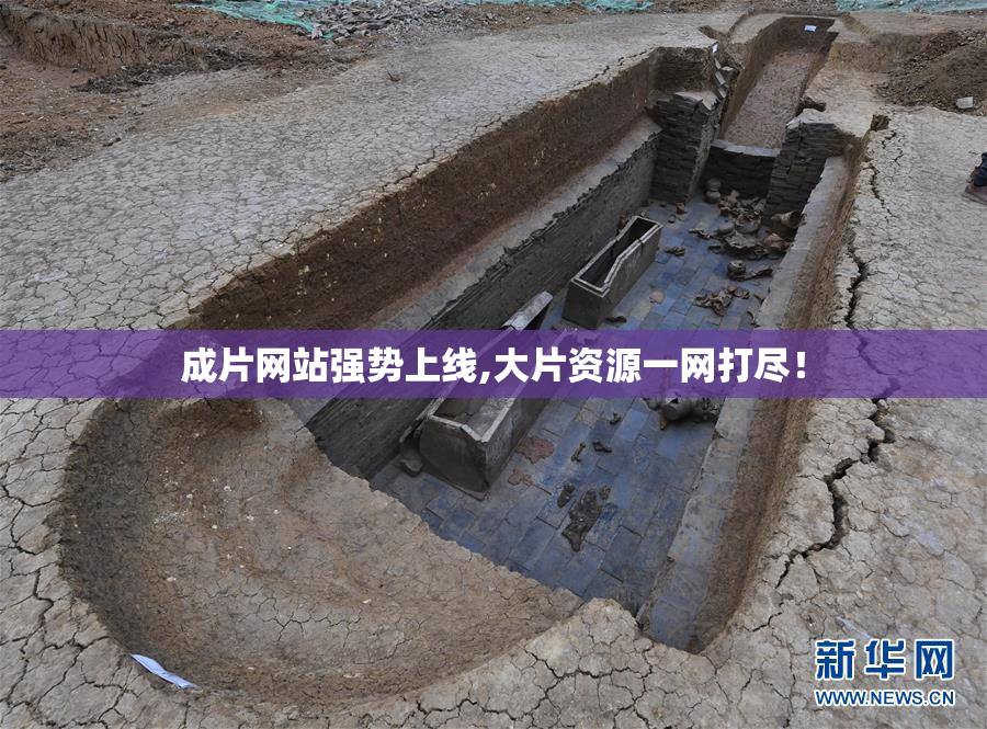 成片网站强势上线,大片资源一网打尽！