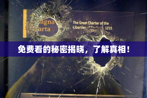 免费看的秘密揭晓，了解真相！