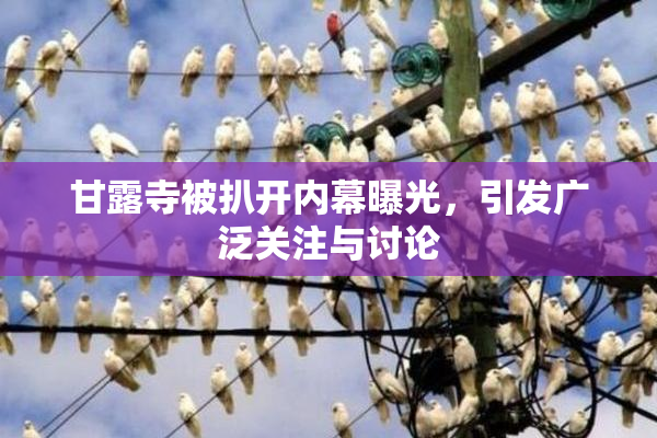甘露寺被扒开内幕曝光，引发广泛关注与讨论