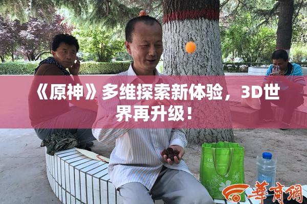 《原神》多维探索新体验，3D世界再升级！