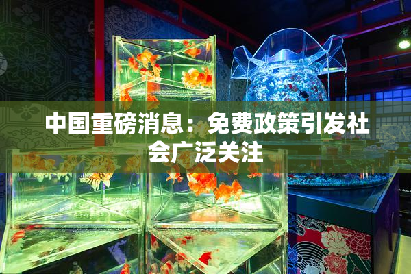 中国重磅消息：免费政策引发社会广泛关注