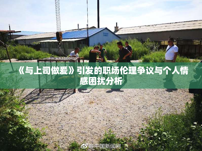 《与上司做爰》引发的职场伦理争议与个人情感困扰分析