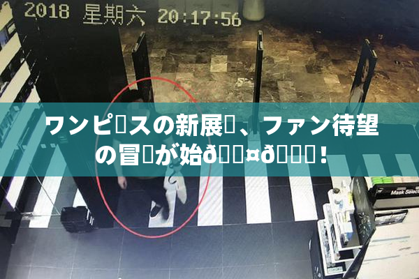 ワンピースの新展開、ファン待望の冒険が始🖤🌃！