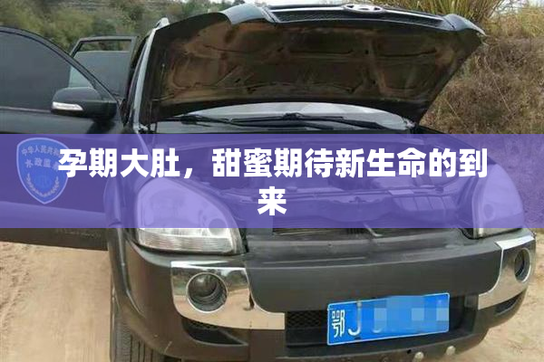 孕期大肚，甜蜜期待新生命的到来