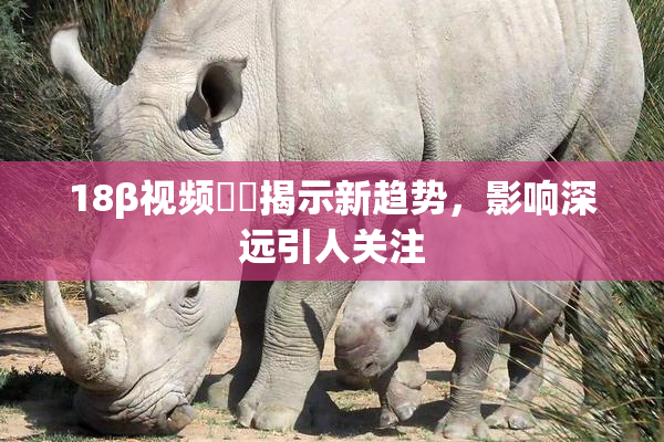 18β视频❌‌揭示新趋势，影响深远引人关注