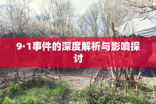 9·1事件的深度解析与影响探讨