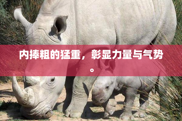 内捧粗的猛重，彰显力量与气势。