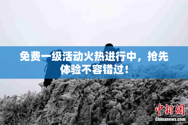 免费一级活动火热进行中，抢先体验不容错过！