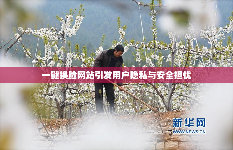 一键换脸网站引发用户隐私与安全担忧