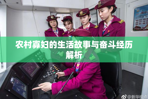 农村寡妇的生活故事与奋斗经历解析