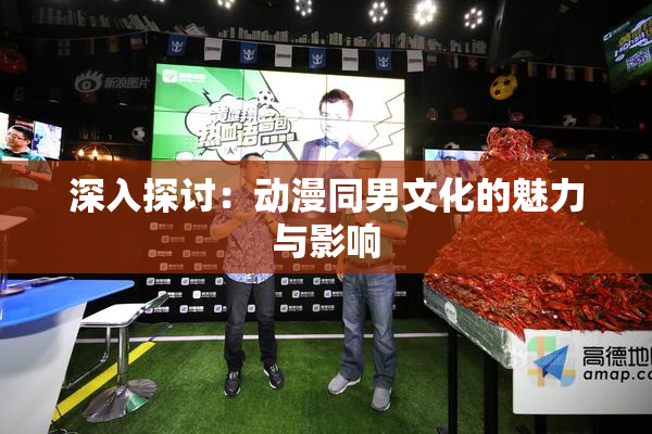 深入探讨：动漫同男文化的魅力与影响