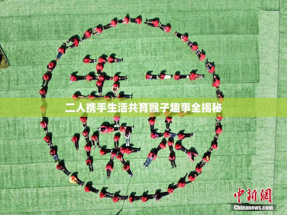 二人携手生活共育猴子趣事全揭秘