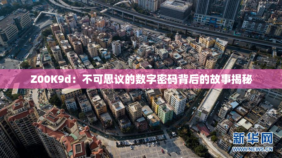 Z00K9d：不可思议的数字密码背后的故事揭秘