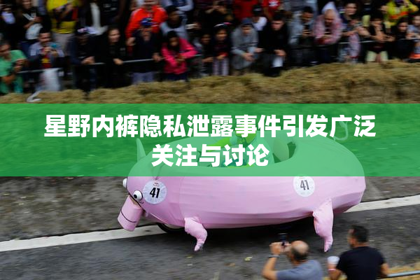 星野内裤隐私泄露事件引发广泛关注与讨论