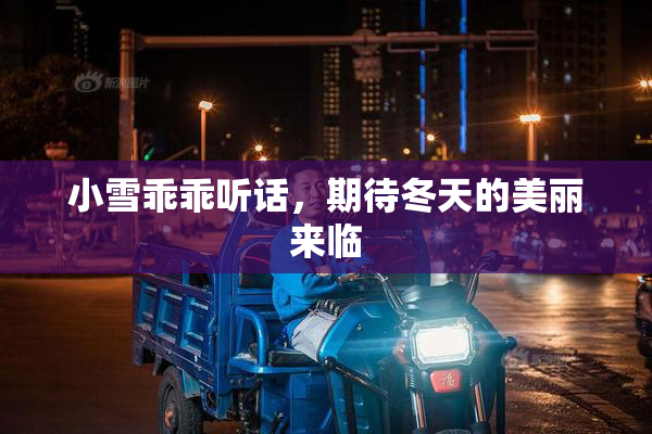 小雪乖乖听话，期待冬天的美丽来临