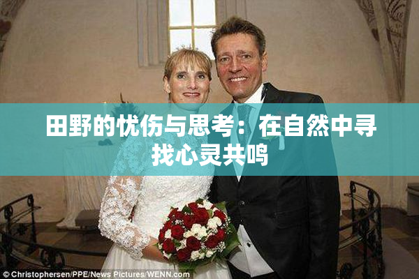 田野的忧伤与思考：在自然中寻找心灵共鸣