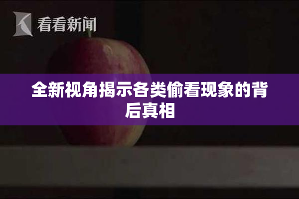 全新视角揭示各类偷看现象的背后真相