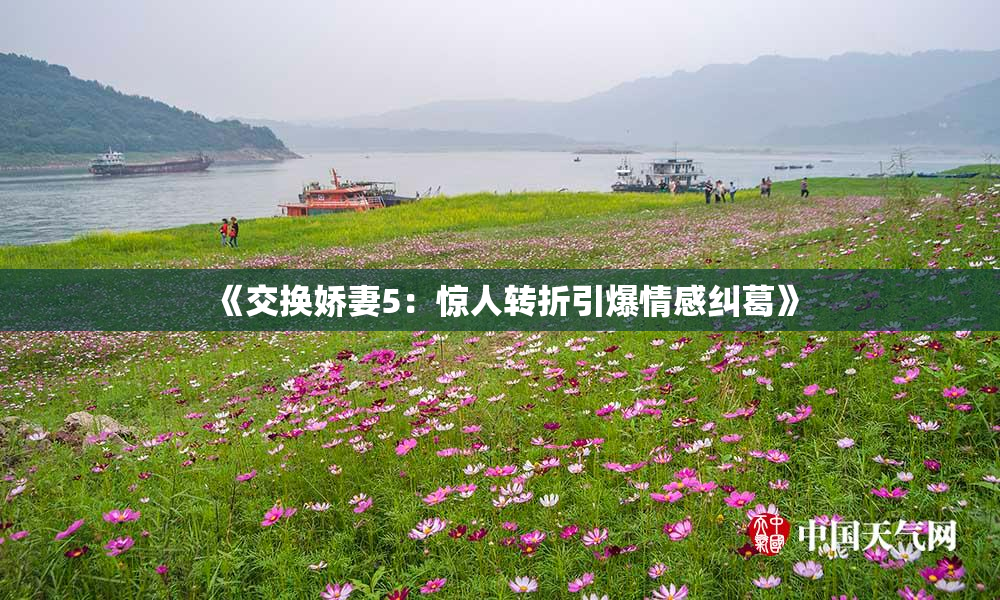 《交换娇妻5：惊人转折引爆情感纠葛》