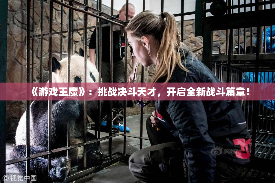 《游戏王魔》：挑战决斗天才，开启全新战斗篇章！